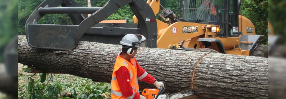 Fabricação, montagem e manutenção industrial